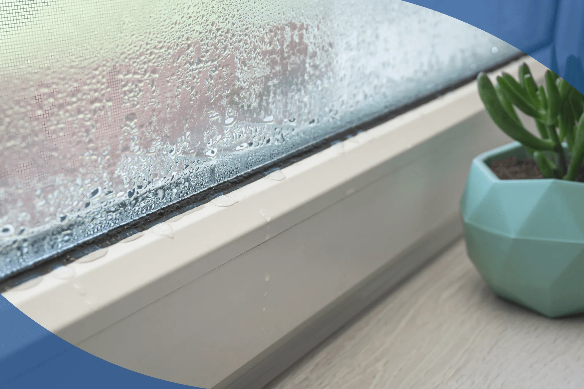 condensación ventanas euskadi