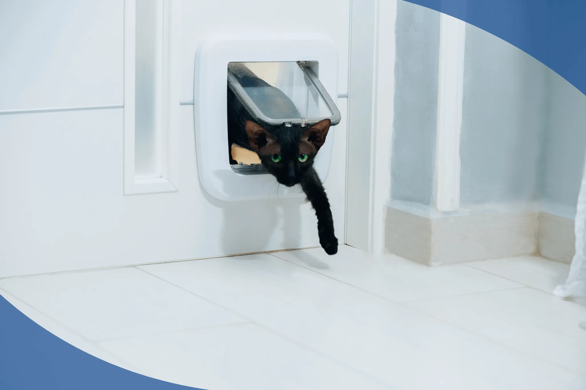 Gateras para puertas de casa