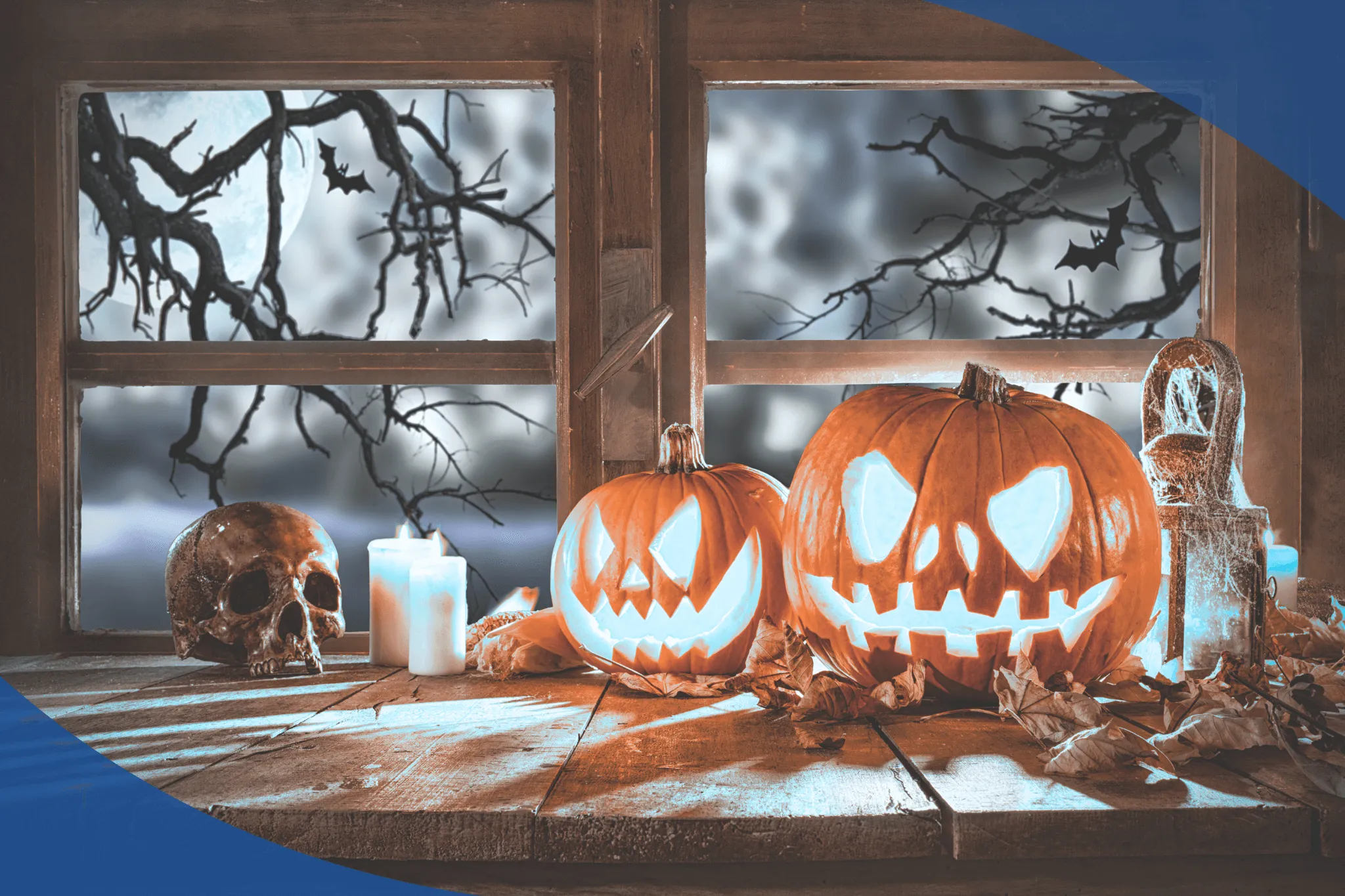 halloween ventanas nuevas