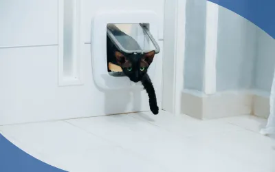 Gateras para puertas de casa